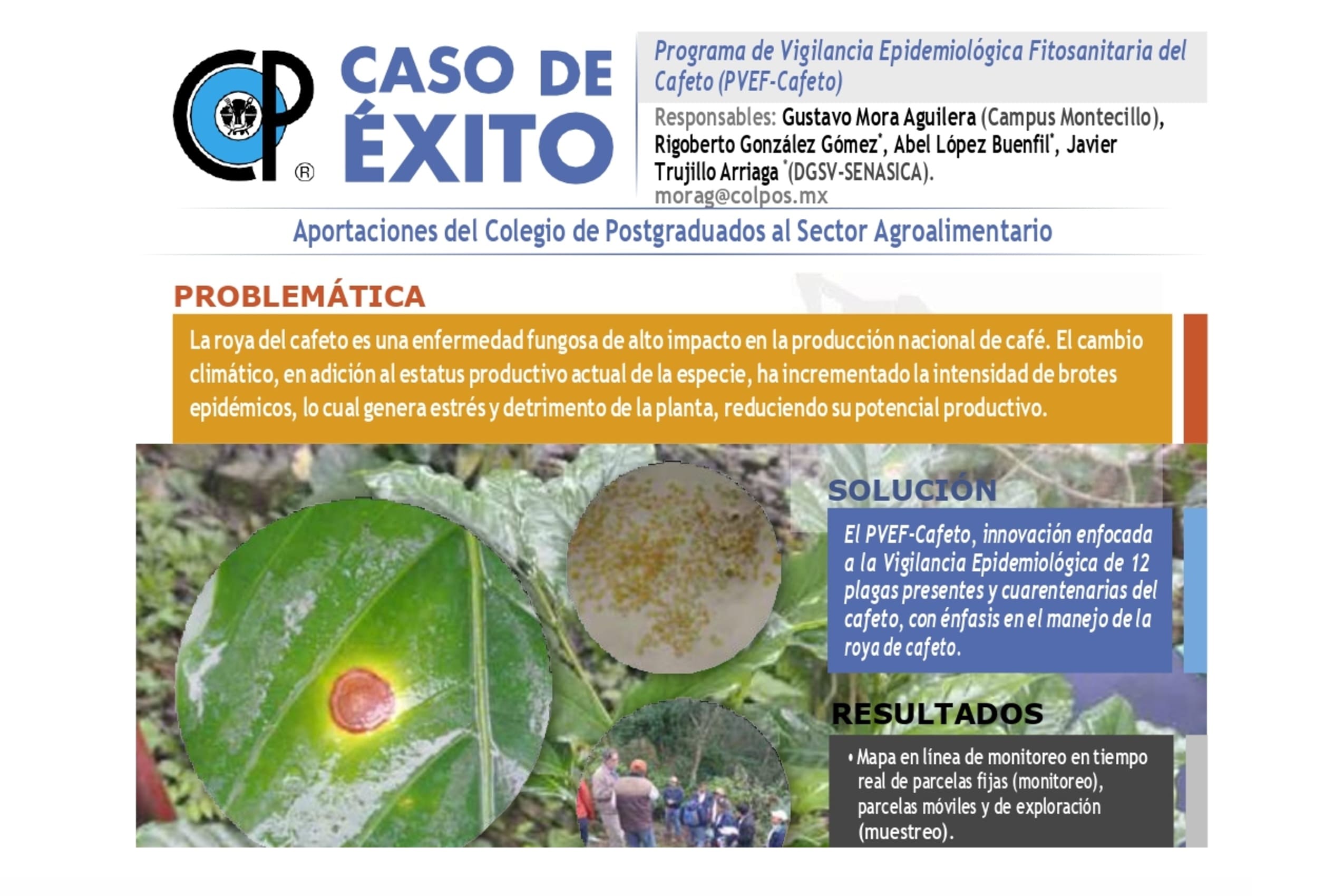Programa de Vigilancia Epidemiológica Fitosanitaria del Cafeto (PVEF-Cafeto).