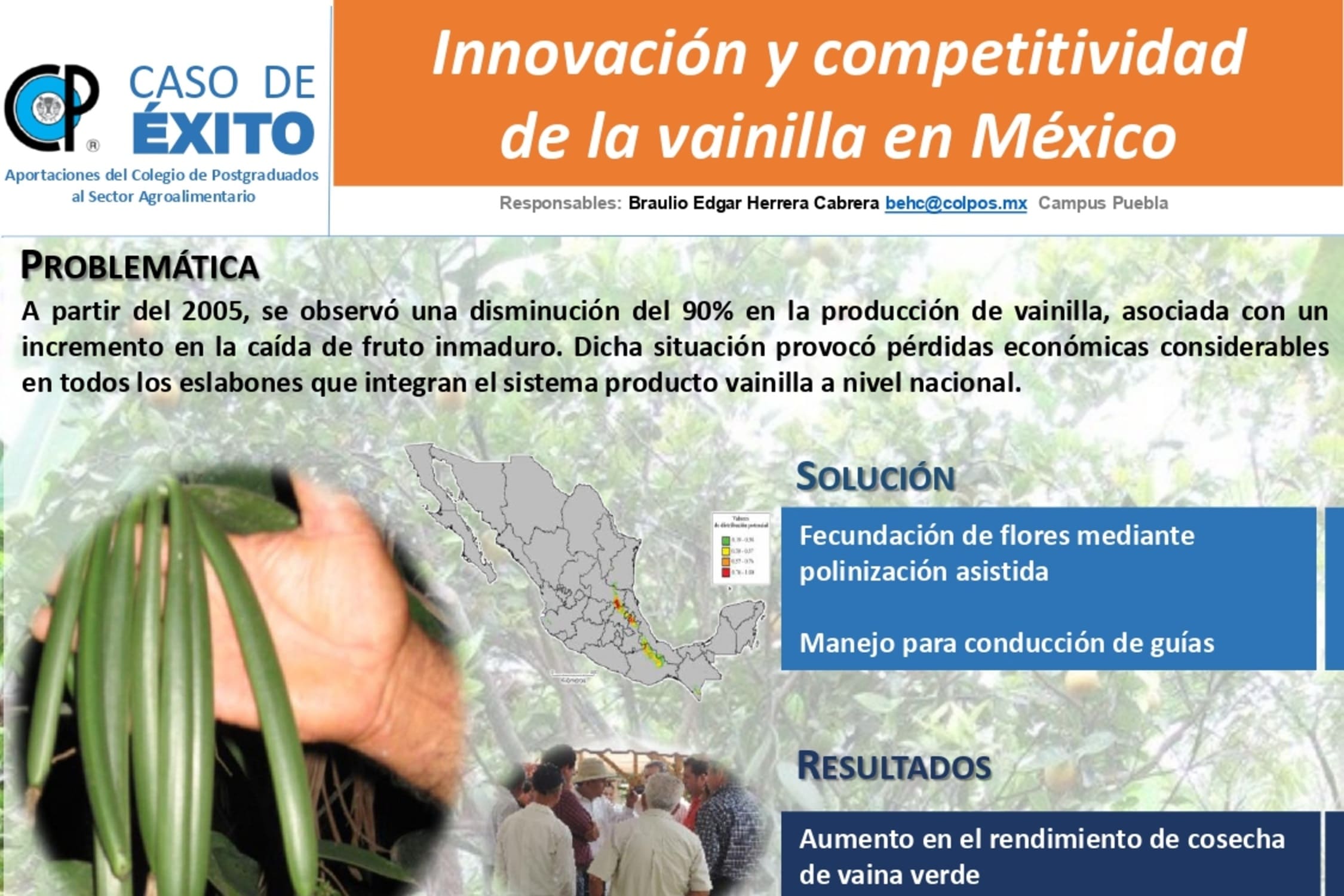 Innovación y competitividad de la vainilla en México.