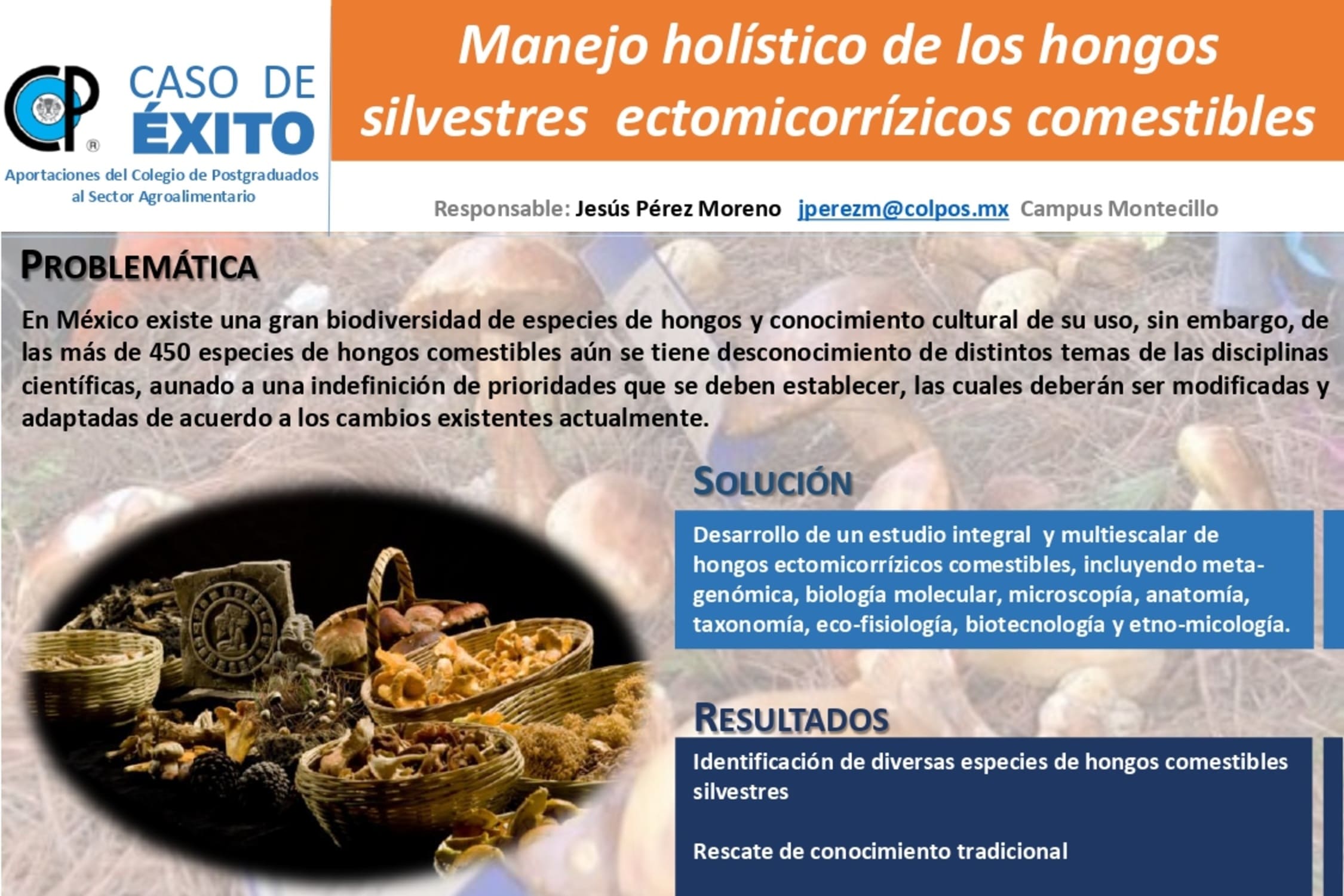 Manejo holístico de los hongos silvestres ectomicorrízicos comestibles.