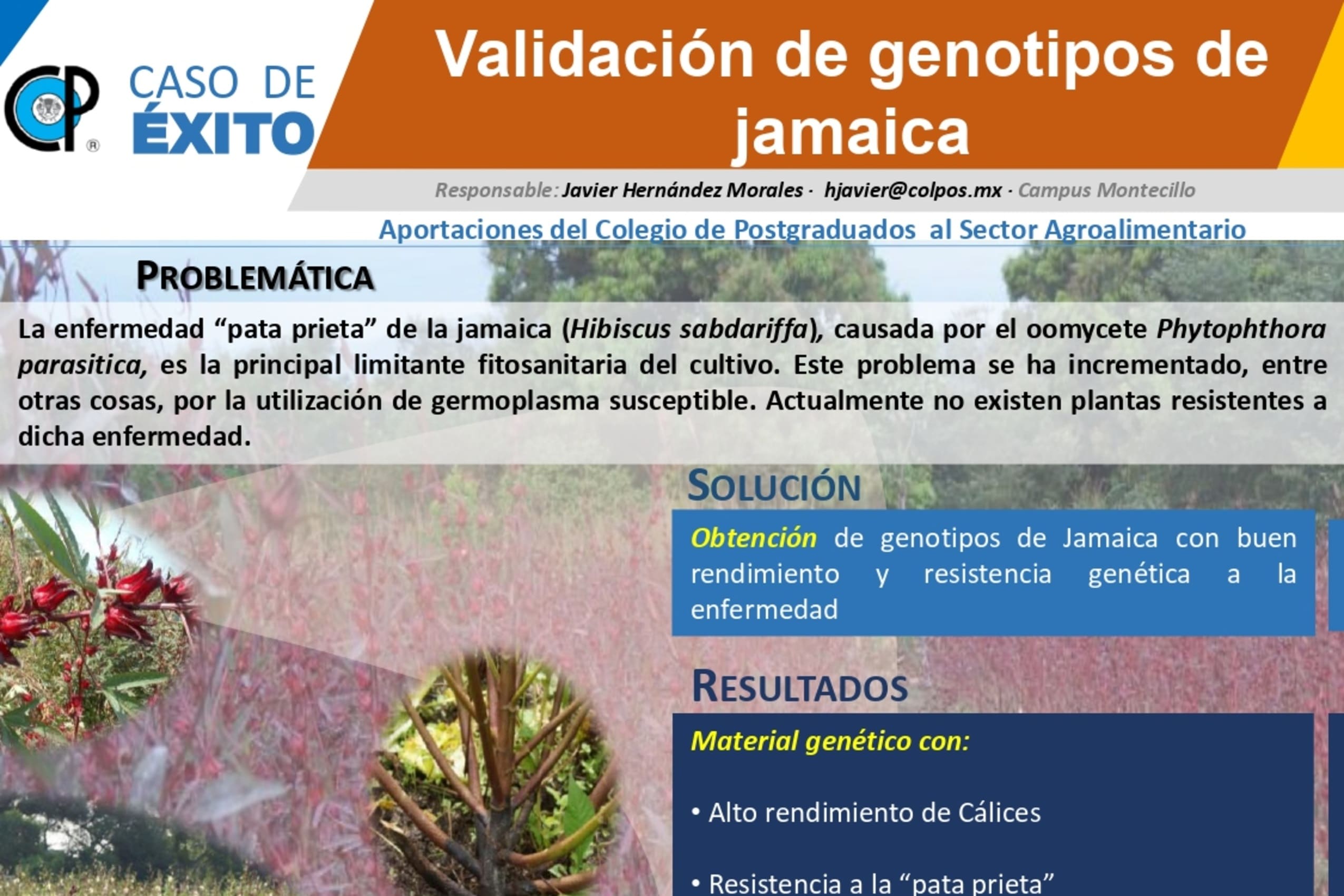 Validación de Genotipos de jamaica.