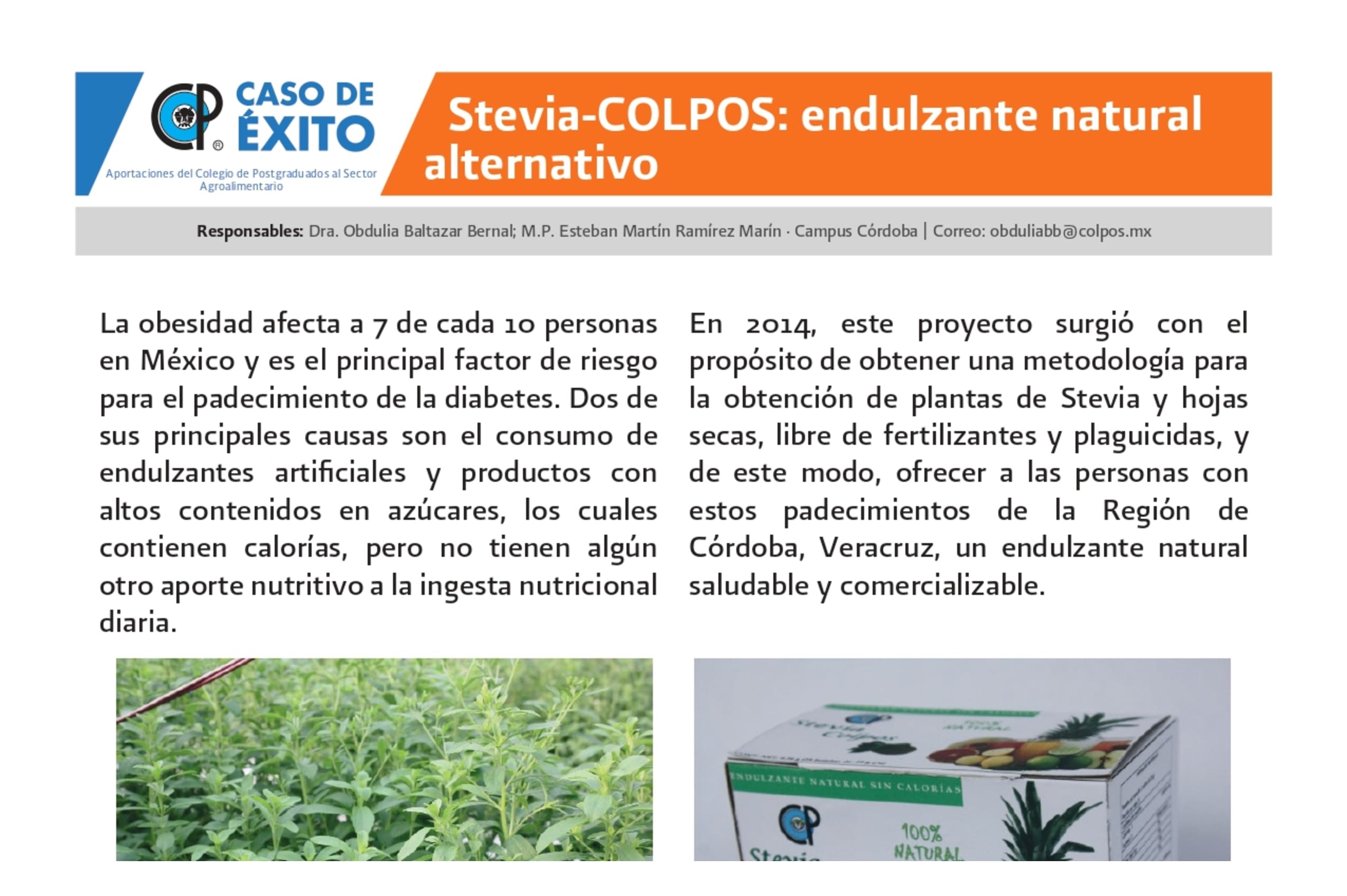 Stevia-COLPOS: endulzan natural alternativo.