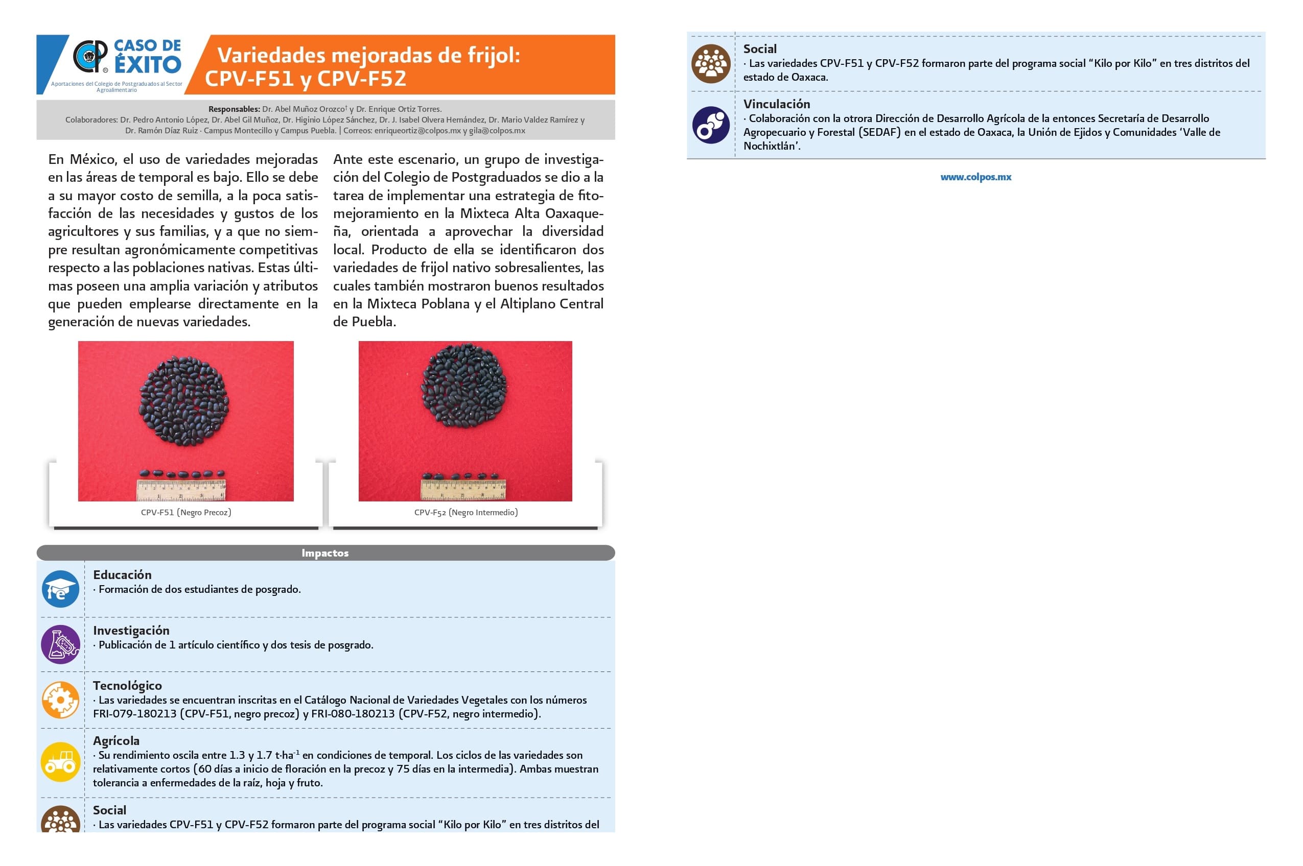 Variedades mejoradas de frijol: CPV-F51 y CPV-F52.