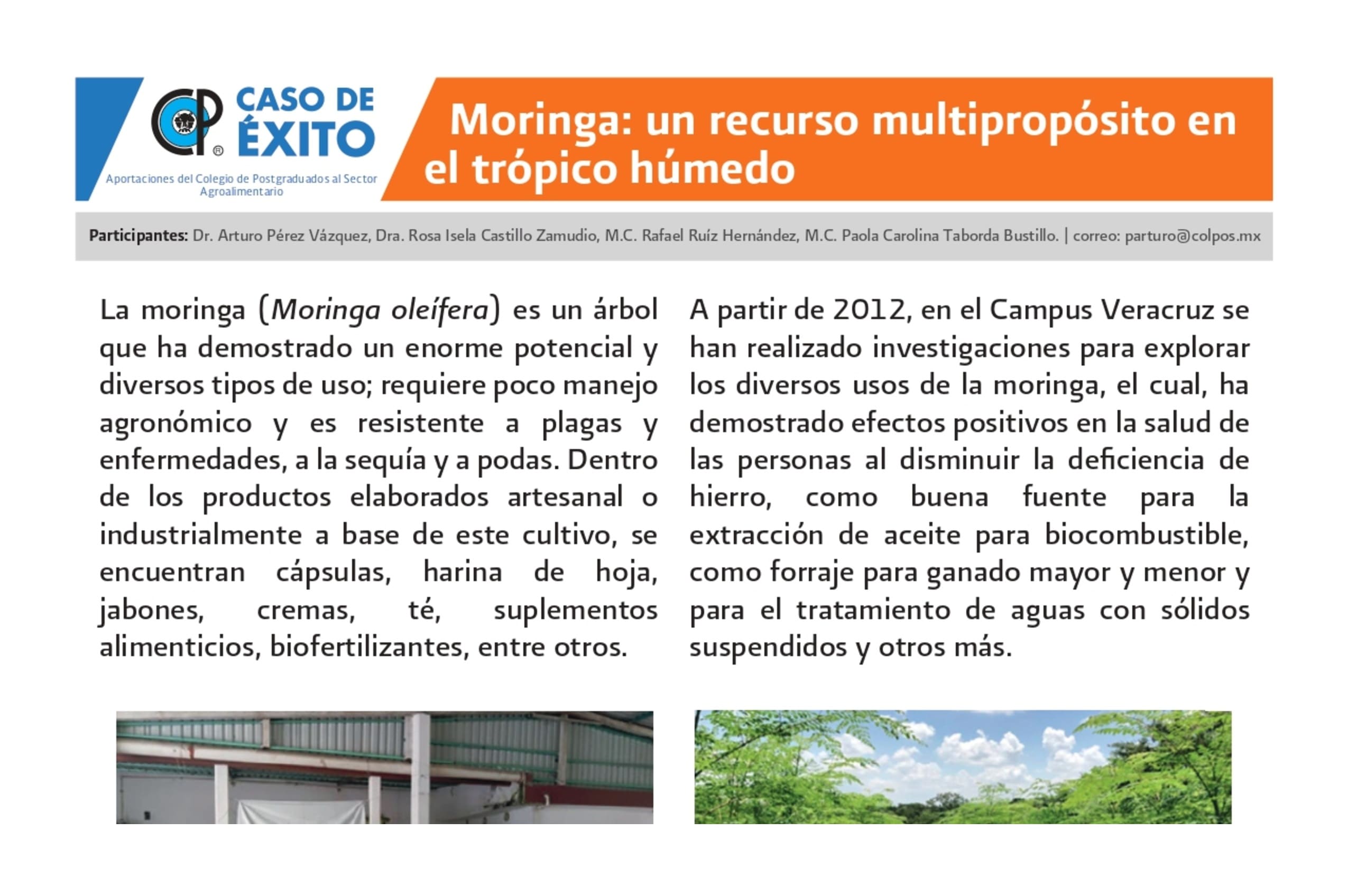 Moringa: un recurso multipropósito en el trópico húmedo.