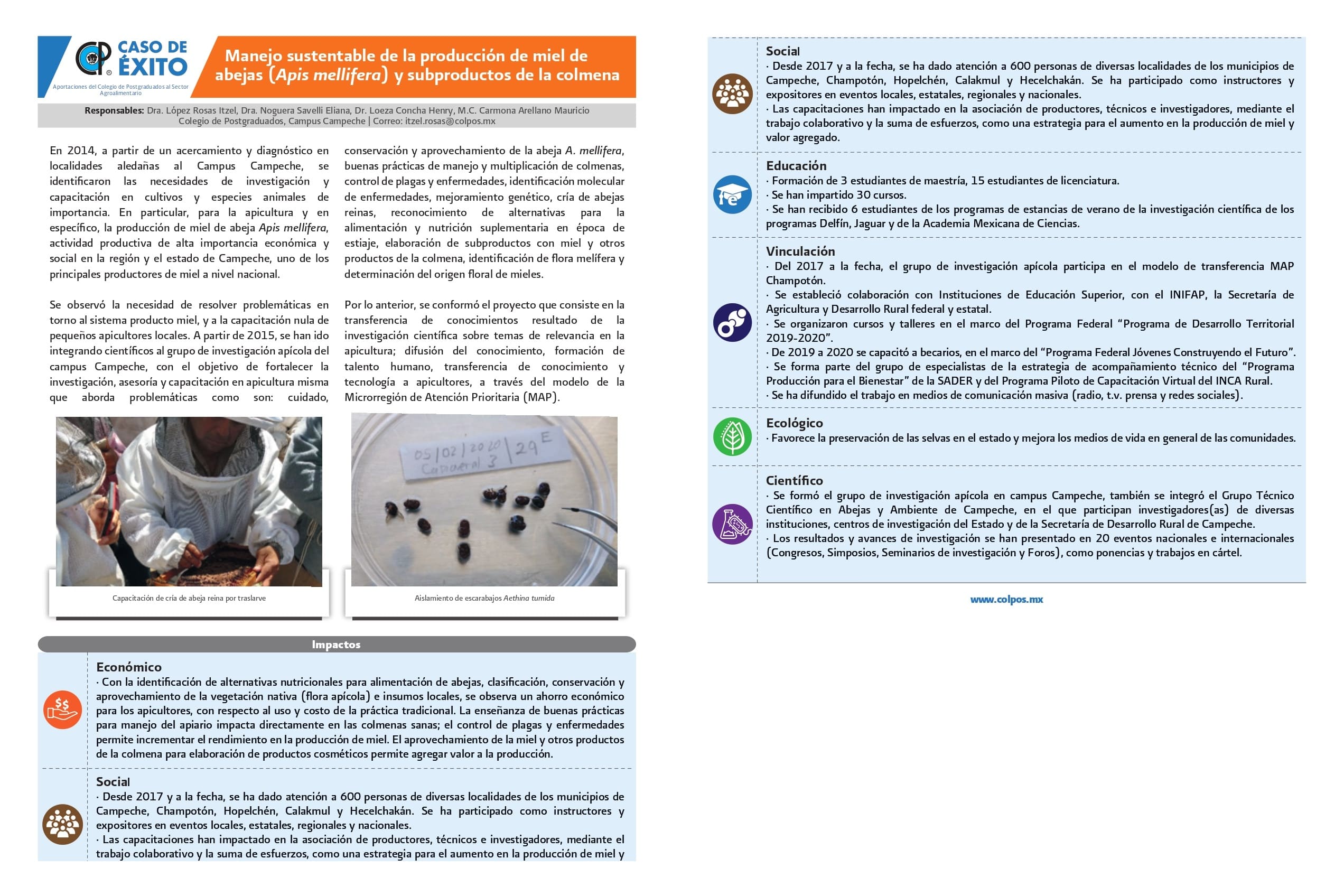 Manejo sustentable de la producción de miel de abejas (Apis mellifera) y subproductos de la colmena.