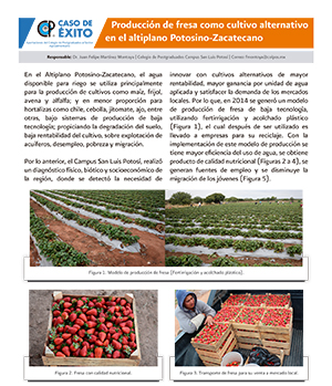 Producción de fresa como cultivo alternativo en el altiplano Potosino-Zacatecano