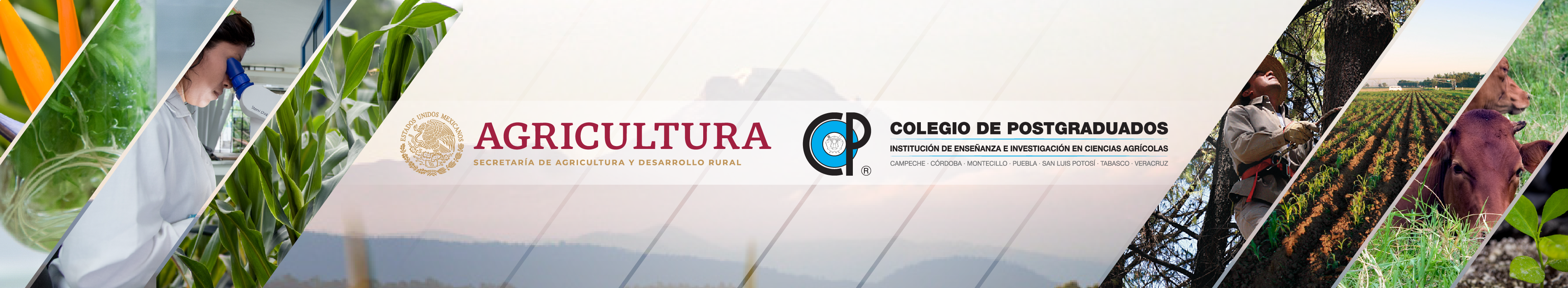 Bienvenidos al Colegio de Postgraduados