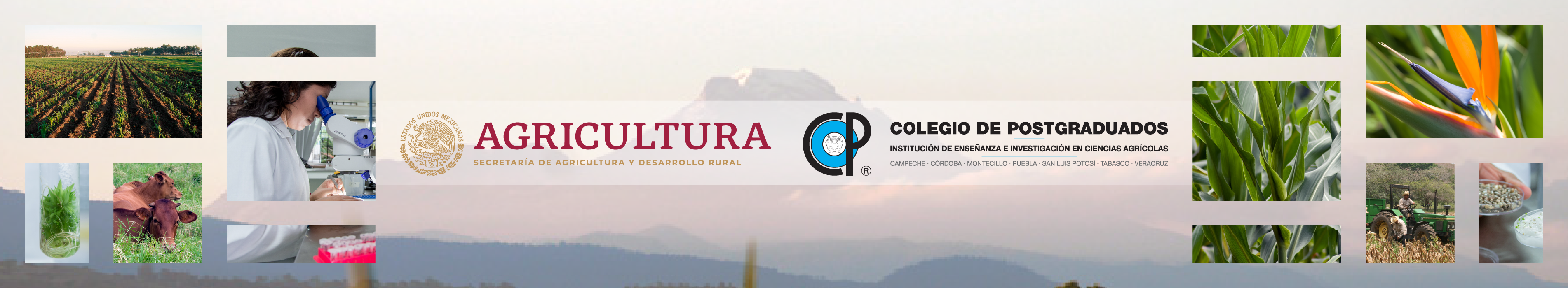 Bienvenidos al Colegio de Postgraduados