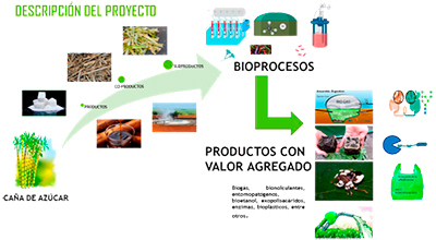 Laboratorio de Biotecnología Microbiana Aplicada