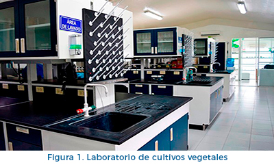 Laboratorio de cultivos vegetales