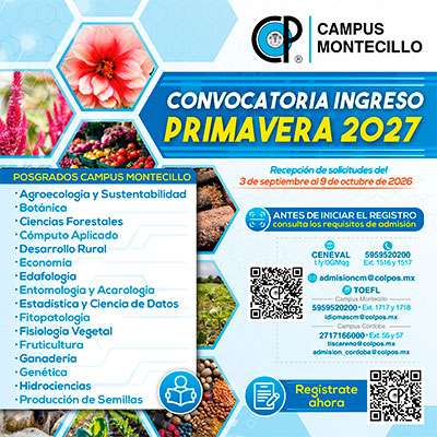 PRIMAVERA 2027