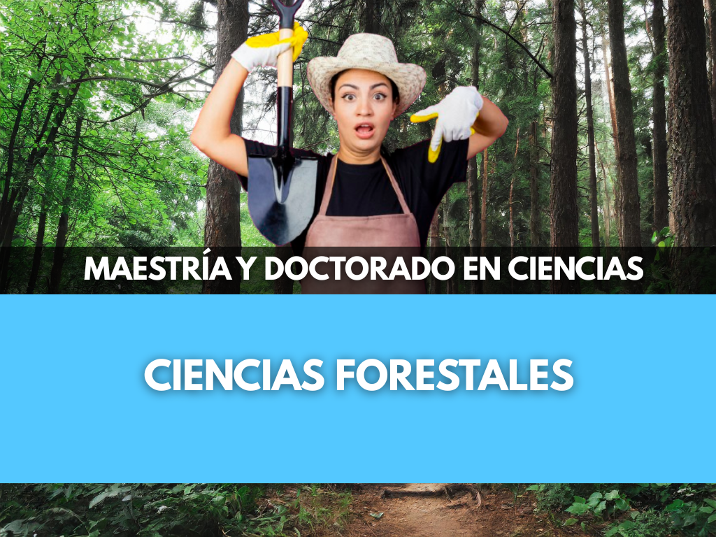 Postgrado en Ciencias Forestales