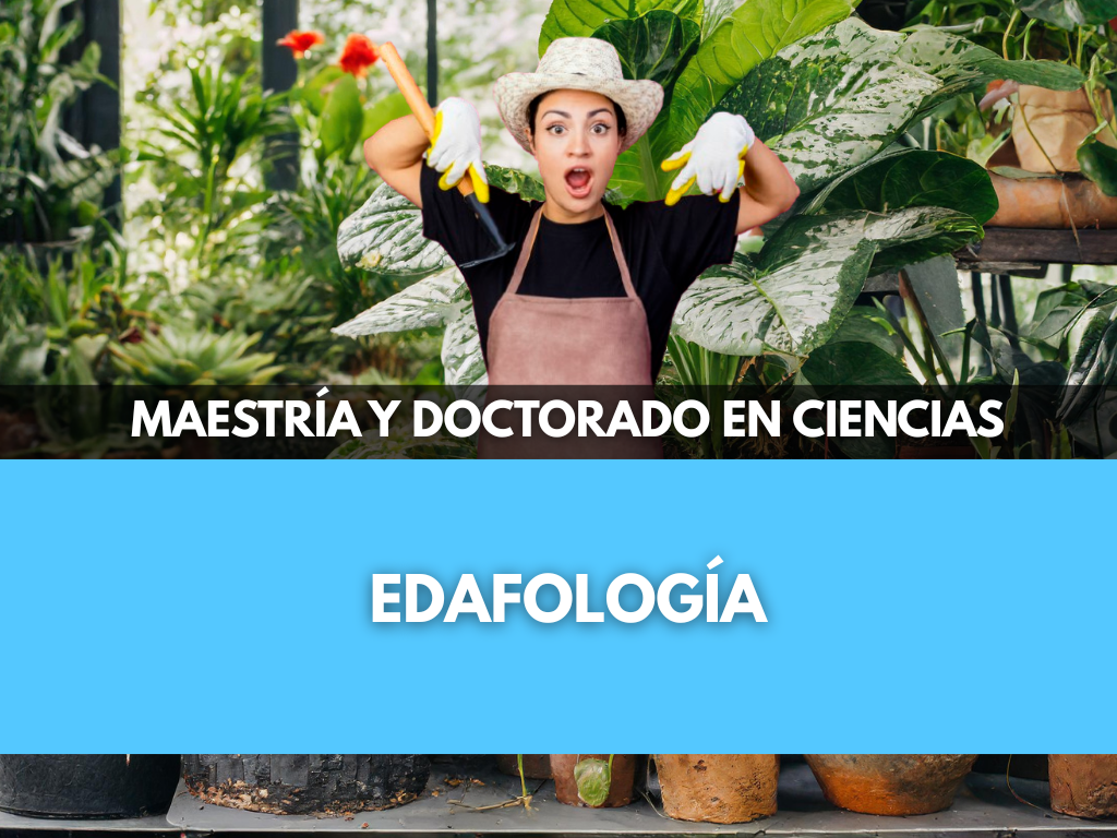 Postgrado en Edafologia
