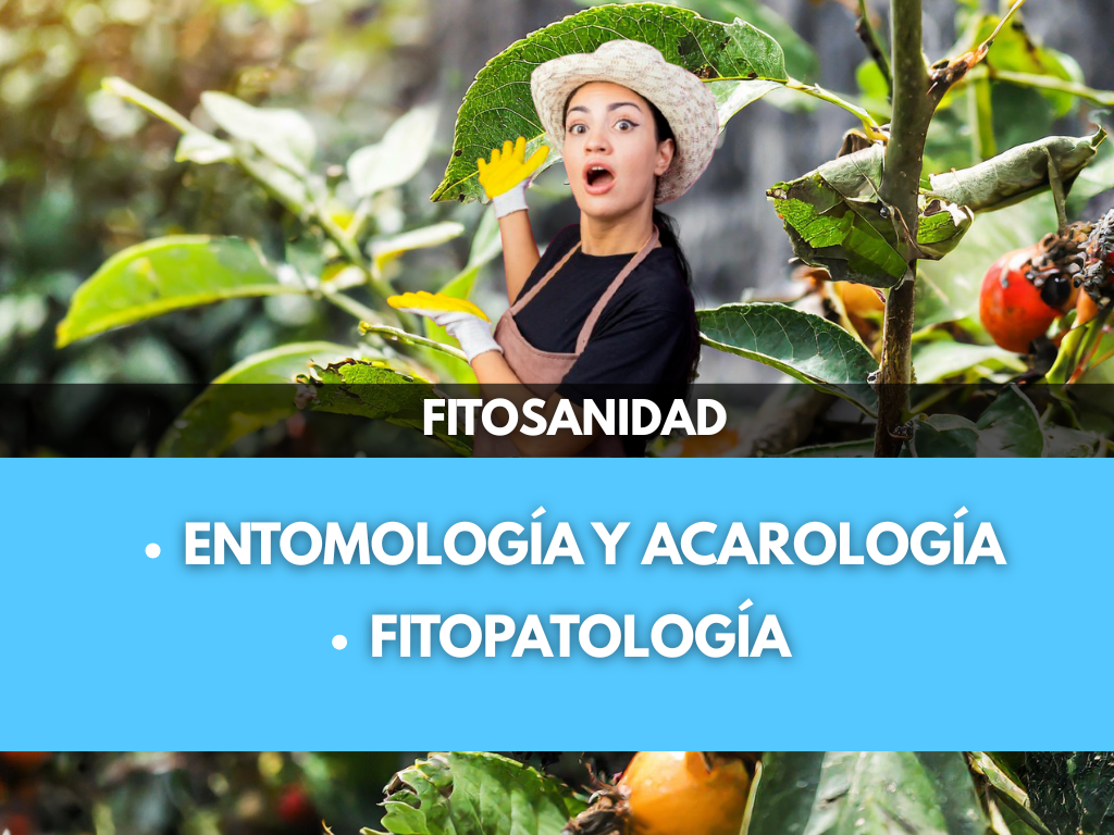 Posgrado en Fitosanidad