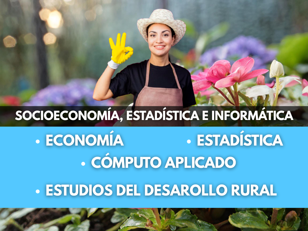 Posgrado en Socioeconomía, Estadística e Informática (PSEI)