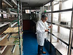 Laboratorio de cultivo en tejidos vegetales