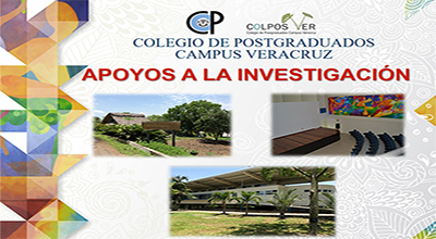 Apoyos a la Investigación