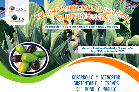 VIII Taller del Suelo