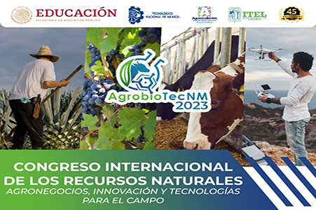 VIII Taller del Suelo