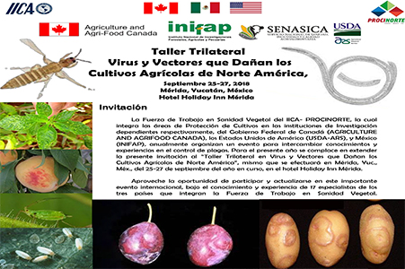 Taller Intl 2023