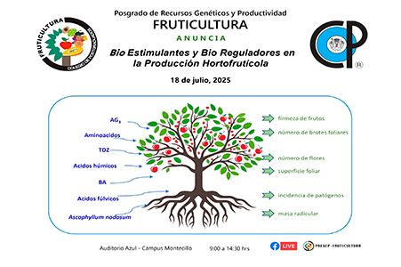 Bio Estimulantes