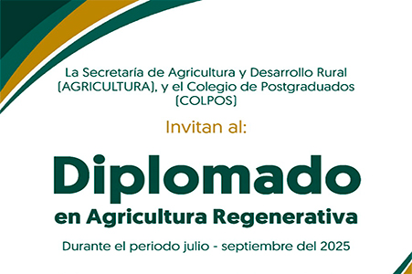 Congreso Internacional