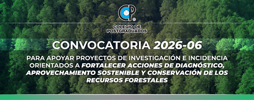 Convocatoria 2026_06