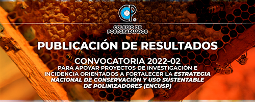 Convocatoria 2022_Pi-08