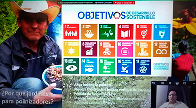Foro virtual “Avances y retos en el conocimiento de los polinizadores en la región sur de México”