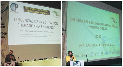 La DRA. Raquel Alatorre Rosas, Profesora del Posgrado en Entomologia y Acarología es Galardonada con la distinción al mérito Entomológico Otorgado por la Amea