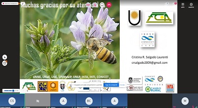 Foro Virtual por el Día Nacional de la Abeja: las Abejas y su Contribución al Desarrollo Sostenible