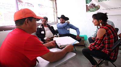 Sistemas de Milpa