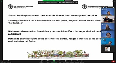 Sistemas alimentarios forestales
