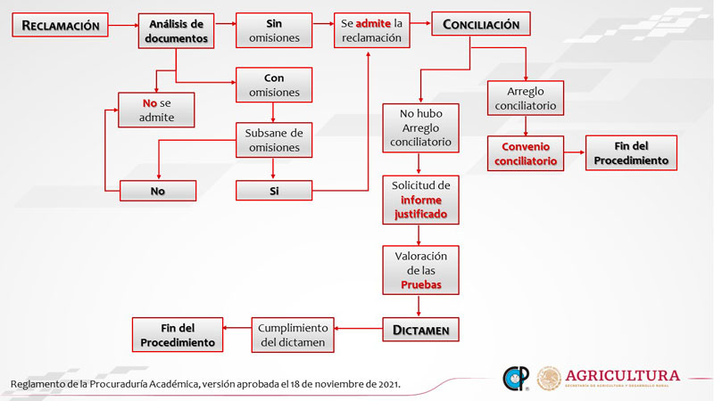 Procuraduria académica