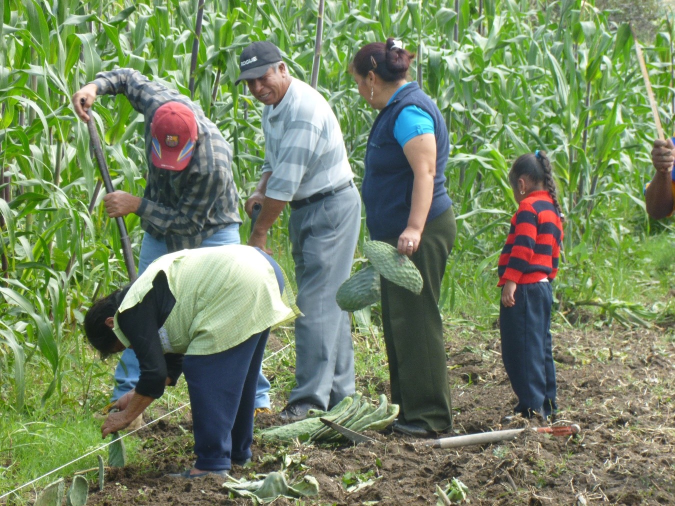 hidrociencias