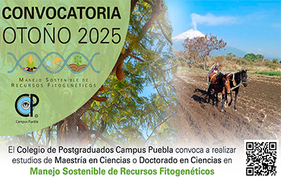 Convocatoria Ipaeds